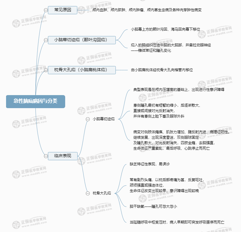 急性腦疝病因與分類 急性腦疝病因與分類