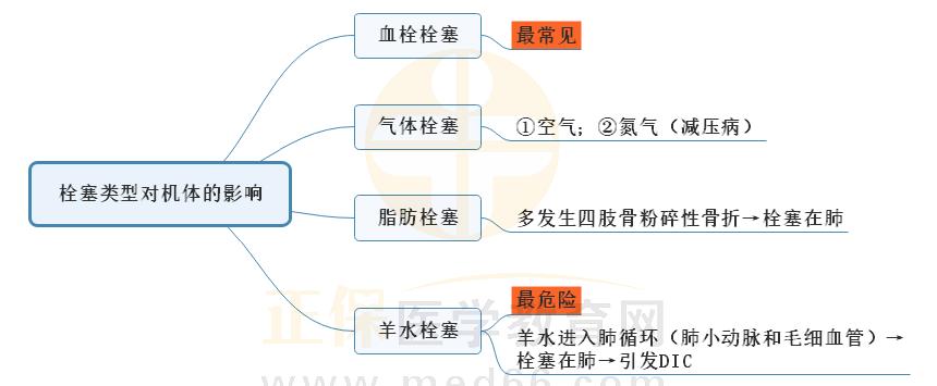 2.栓塞類型對機體的影響思維導圖 2.栓塞類型對機體的影響思維導圖