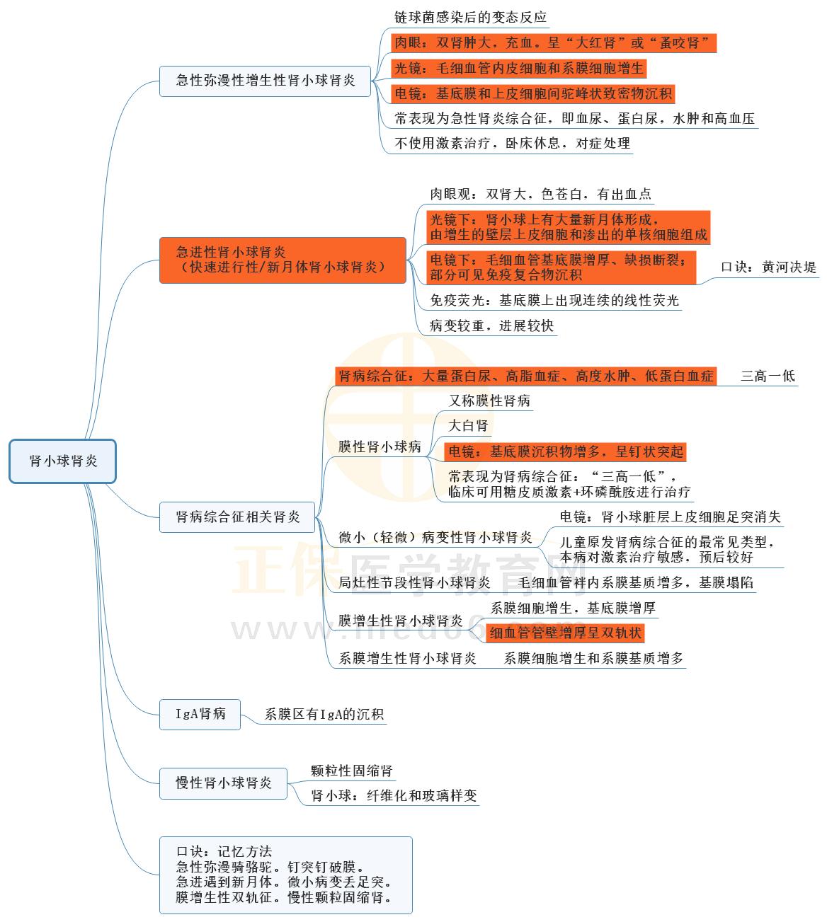 4.腎小球腎炎的思維導圖 4.腎小球腎炎的思維導圖