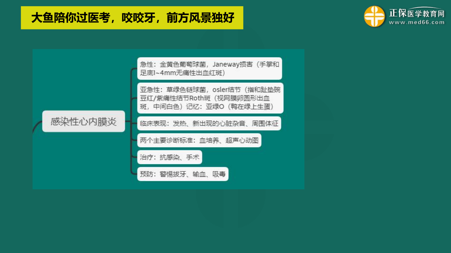 感染性心內(nèi)膜炎 感染性心內(nèi)膜炎