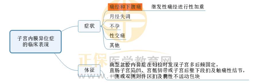 4.子宮內(nèi)膜異位癥的臨床表現(xiàn) 4.子宮內(nèi)膜異位癥的臨床表現(xiàn)