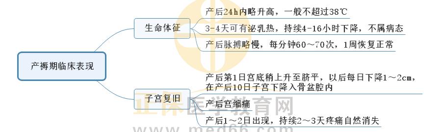 5.產(chǎn)褥期臨床表現(xiàn) 5.產(chǎn)褥期臨床表現(xiàn)