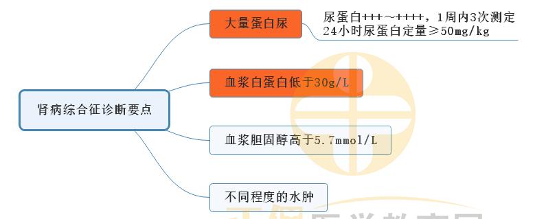 3.腎病綜合征診斷要點(diǎn) 3.腎病綜合征診斷要點(diǎn)