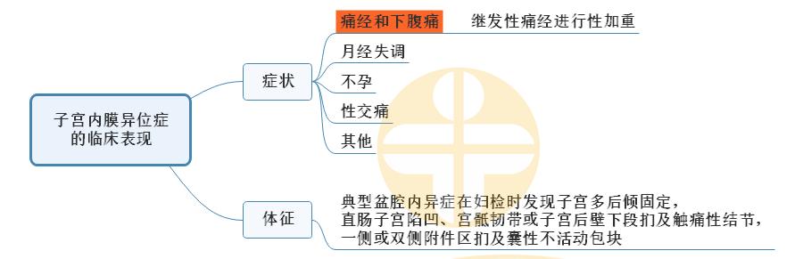 4.子宮內膜異位癥的臨床表現(xiàn) 4.子宮內膜異位癥的臨床表現(xiàn)