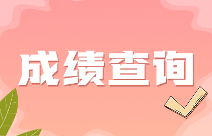 成績(jī)查詢11 成績(jī)查詢11