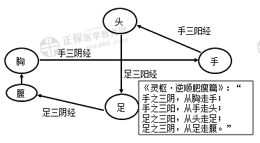 十二經(jīng)脈的走向規(guī)律 十二經(jīng)脈的走向規(guī)律