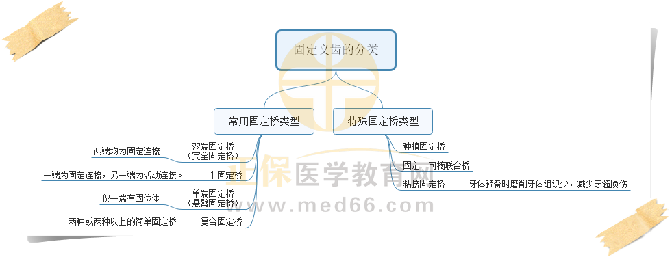1.固定義齒的分類(lèi) 1.固定義齒的分類(lèi)