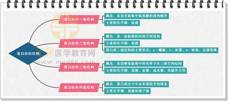 1.蛋白質(zhì)結(jié)構(gòu)思維導(dǎo)圖 1.蛋白質(zhì)結(jié)構(gòu)思維導(dǎo)圖