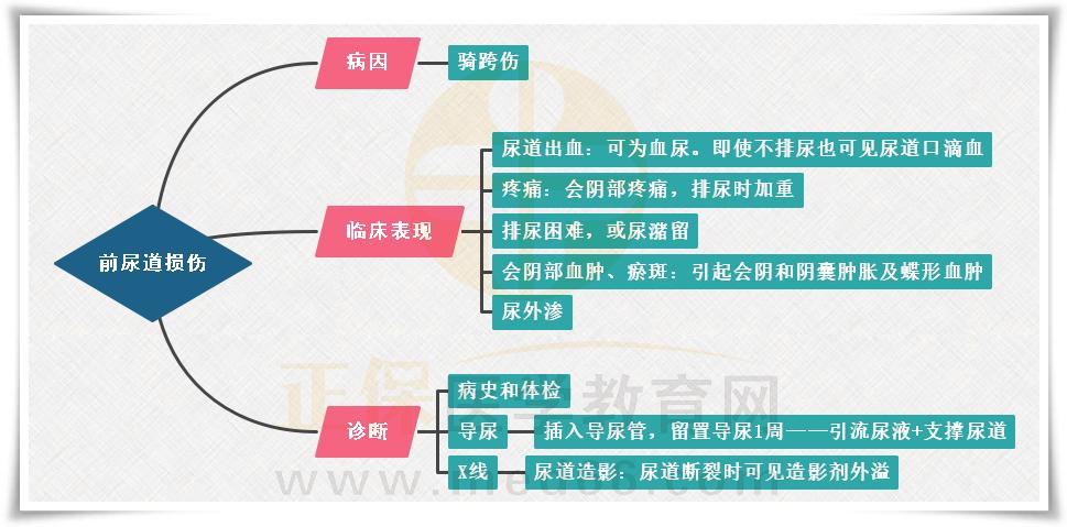 1.前尿道損傷思維導(dǎo)圖 1.前尿道損傷思維導(dǎo)圖