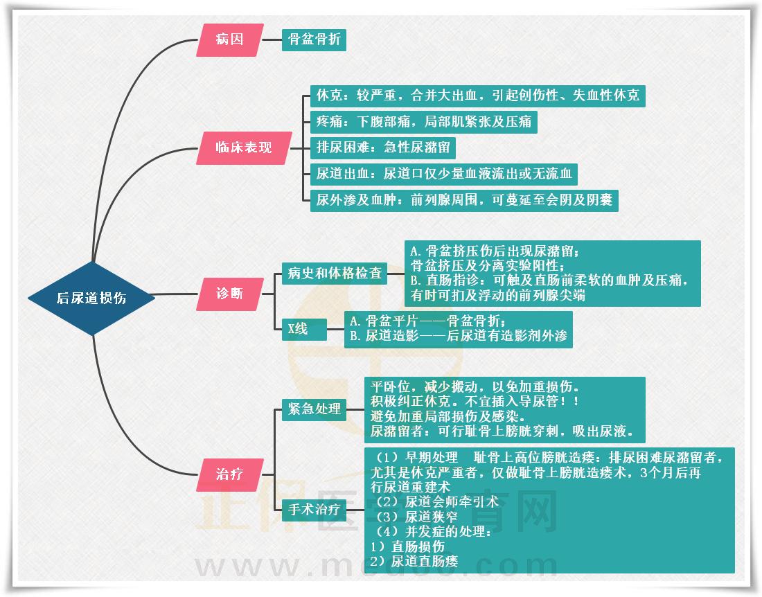 2.后尿道損傷思維導(dǎo)圖 2.后尿道損傷思維導(dǎo)圖