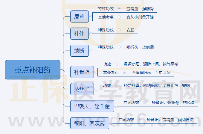 4.重點(diǎn)補(bǔ)陽藥 4.重點(diǎn)補(bǔ)陽藥