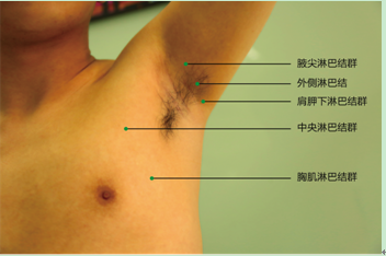 體格檢查模擬題 體格檢查模擬題