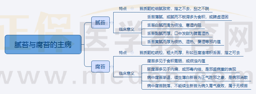 2.膩苔與腐苔的主病 2.膩苔與腐苔的主病