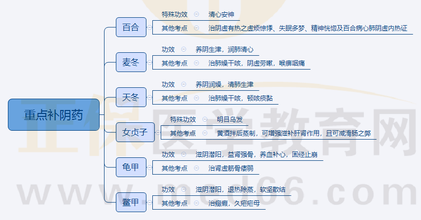 5.重點(diǎn)補(bǔ)陰藥 5.重點(diǎn)補(bǔ)陰藥