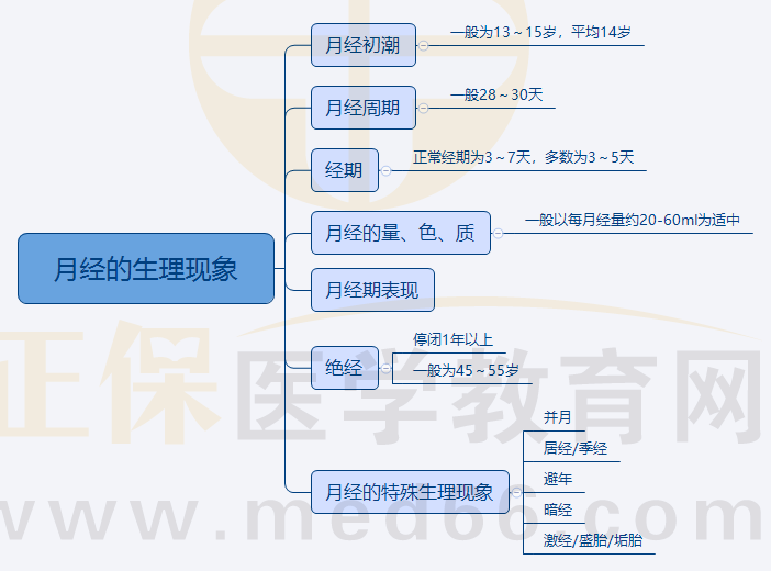 1.月經(jīng)的生理現(xiàn)象 1.月經(jīng)的生理現(xiàn)象