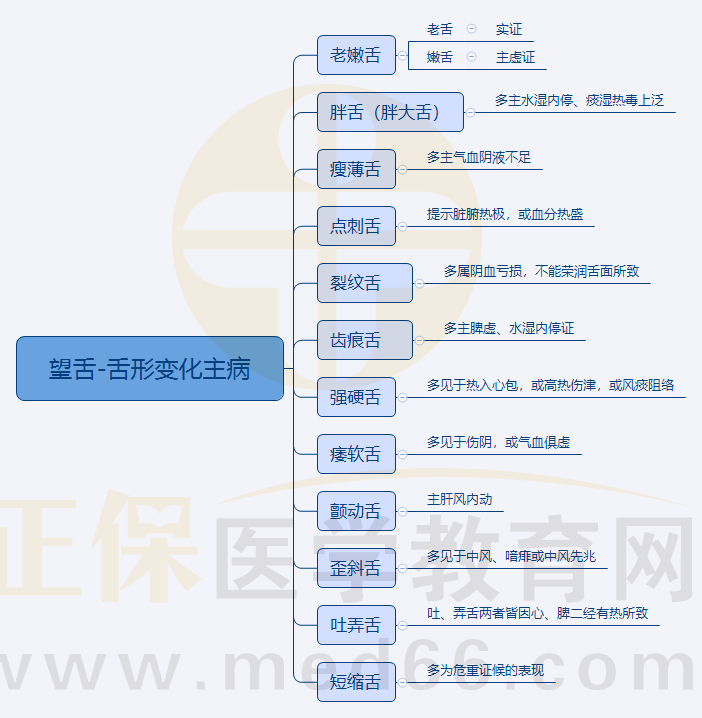 1.望舌-舌形變化主病 1.望舌-舌形變化主病