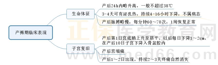 5.產(chǎn)褥期臨床表現(xiàn) 5.產(chǎn)褥期臨床表現(xiàn)