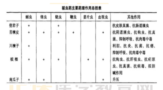 驅(qū)蟲藥的藥理作用 驅(qū)蟲藥的藥理作用
