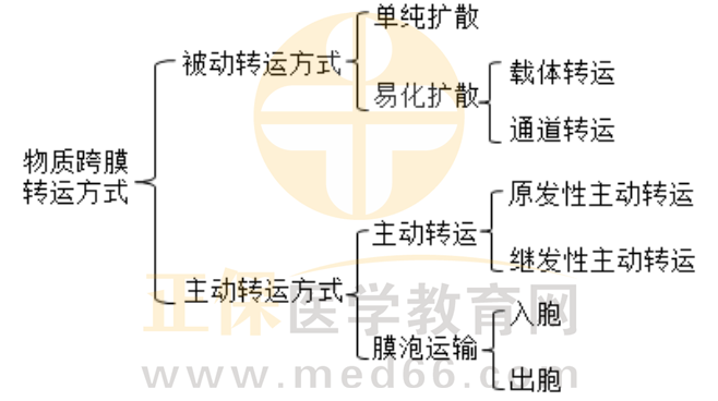 物質(zhì)跨膜轉(zhuǎn)運(yùn)方式-1 物質(zhì)跨膜轉(zhuǎn)運(yùn)方式-1
