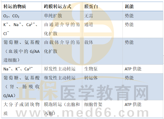 物質(zhì)跨膜轉(zhuǎn)運(yùn)方式-2 物質(zhì)跨膜轉(zhuǎn)運(yùn)方式-2