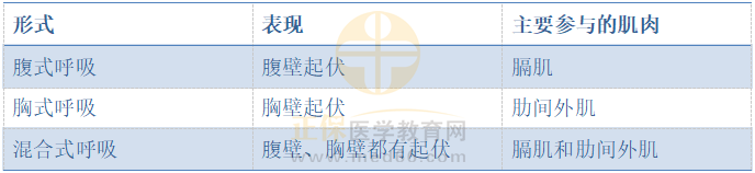 呼吸運(yùn)動(dòng)的形式 呼吸運(yùn)動(dòng)的形式