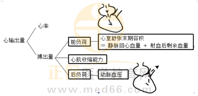 影響心輸出量的因素 影響心輸出量的因素