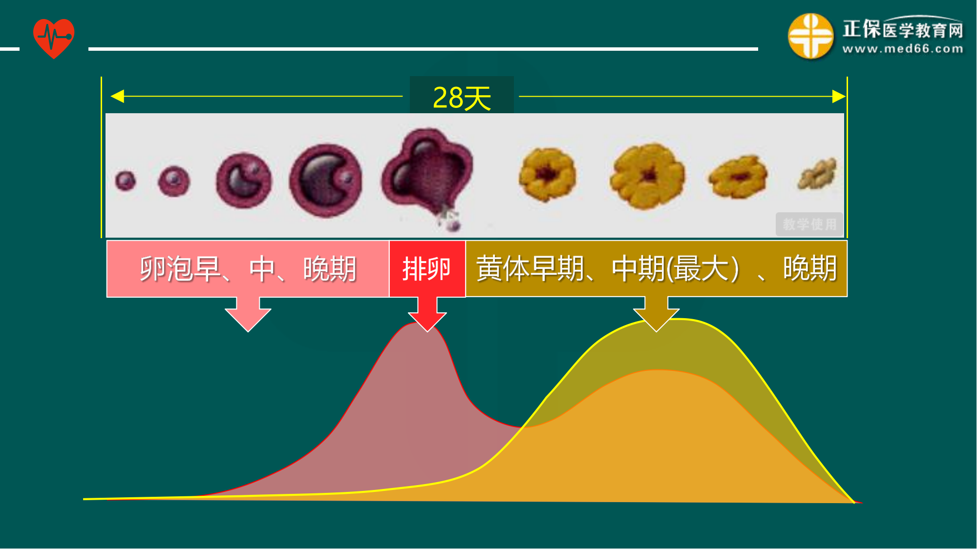 20221205-臨床公開(kāi)課講義-景晴_07 20221205-臨床公開(kāi)課講義-景晴_07