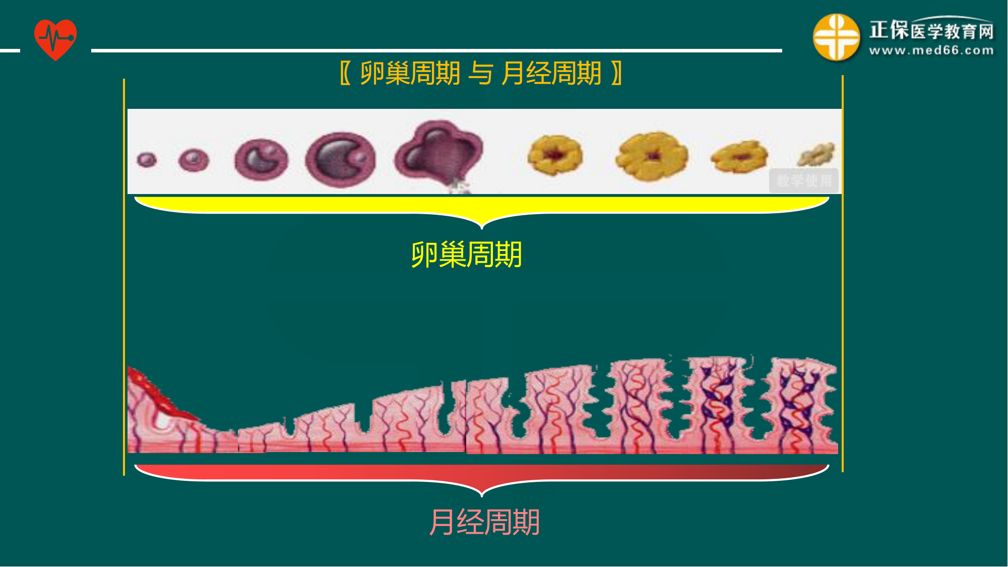 20221205-臨床公開(kāi)課講義-景晴_09 20221205-臨床公開(kāi)課講義-景晴_09
