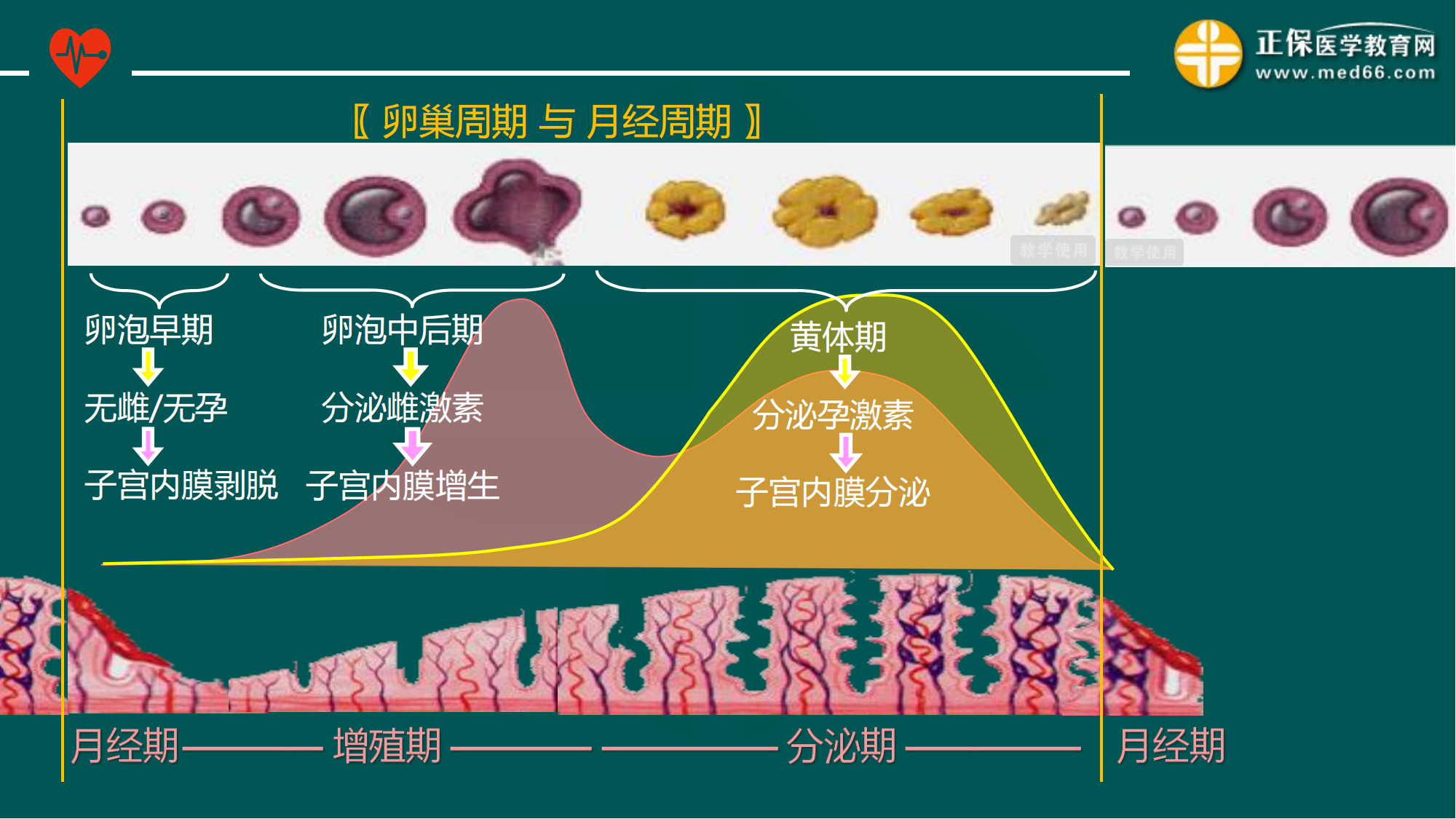 20221205-臨床公開(kāi)課講義-景晴_10 20221205-臨床公開(kāi)課講義-景晴_10