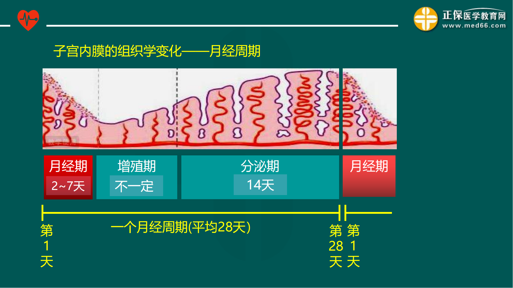 20221205-臨床公開(kāi)課講義-景晴_11 20221205-臨床公開(kāi)課講義-景晴_11