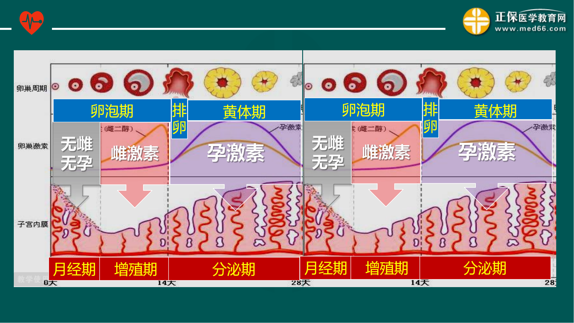 20221205-臨床公開(kāi)課講義-景晴_12 20221205-臨床公開(kāi)課講義-景晴_12