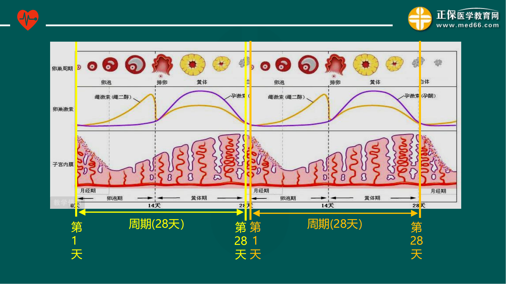 20221205-臨床公開(kāi)課講義-景晴_13 20221205-臨床公開(kāi)課講義-景晴_13