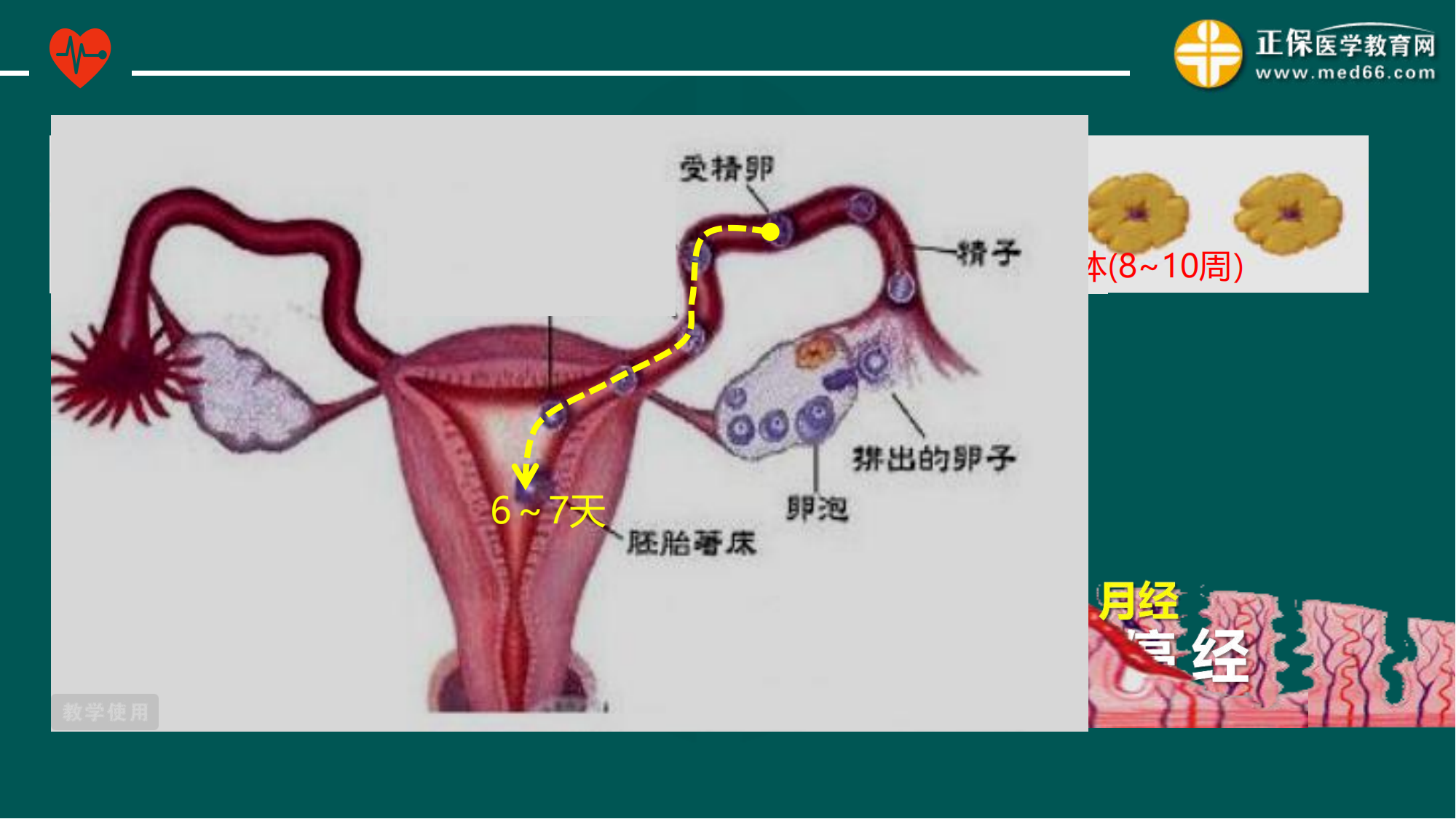 20221205-臨床公開(kāi)課講義-景晴_15 20221205-臨床公開(kāi)課講義-景晴_15
