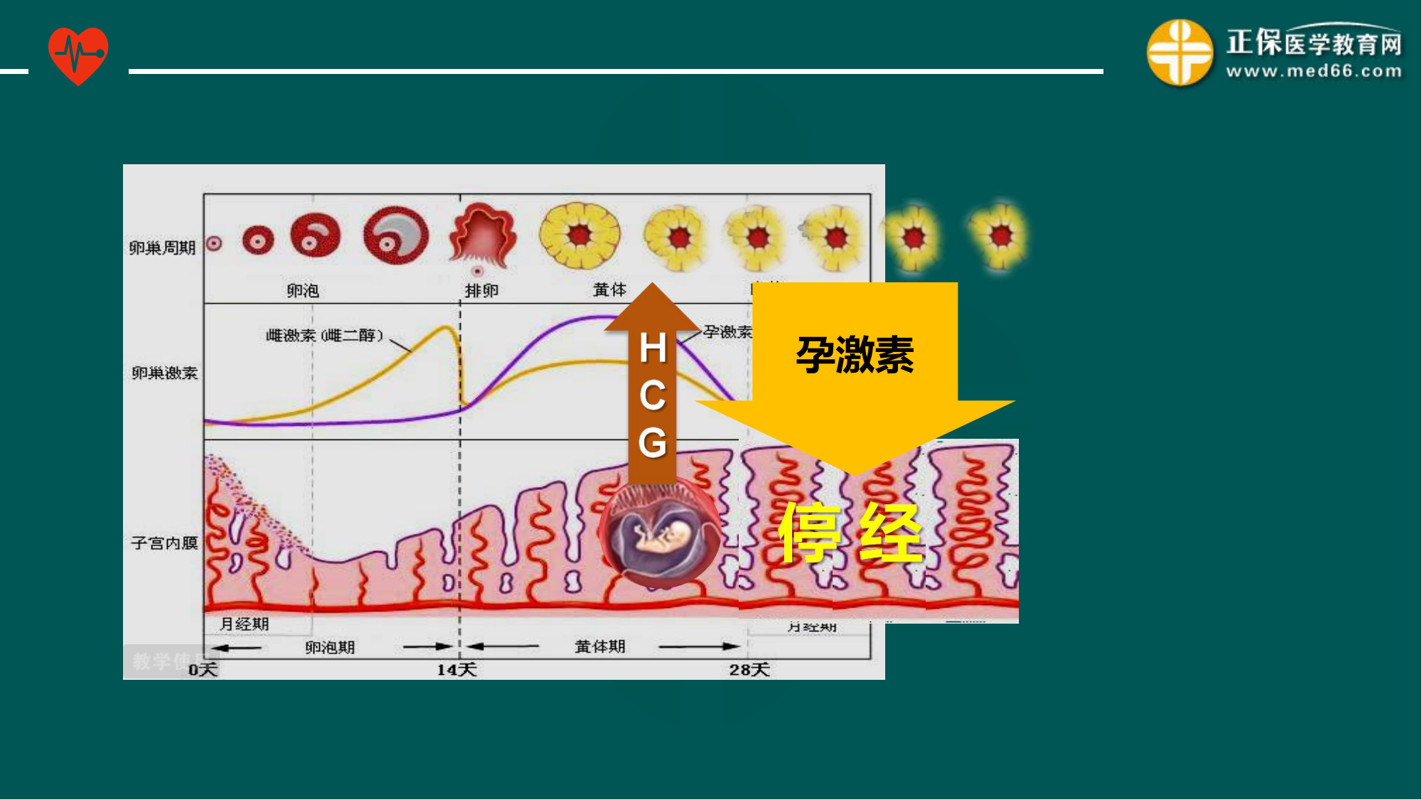 20221205-臨床公開(kāi)課講義-景晴_16 20221205-臨床公開(kāi)課講義-景晴_16