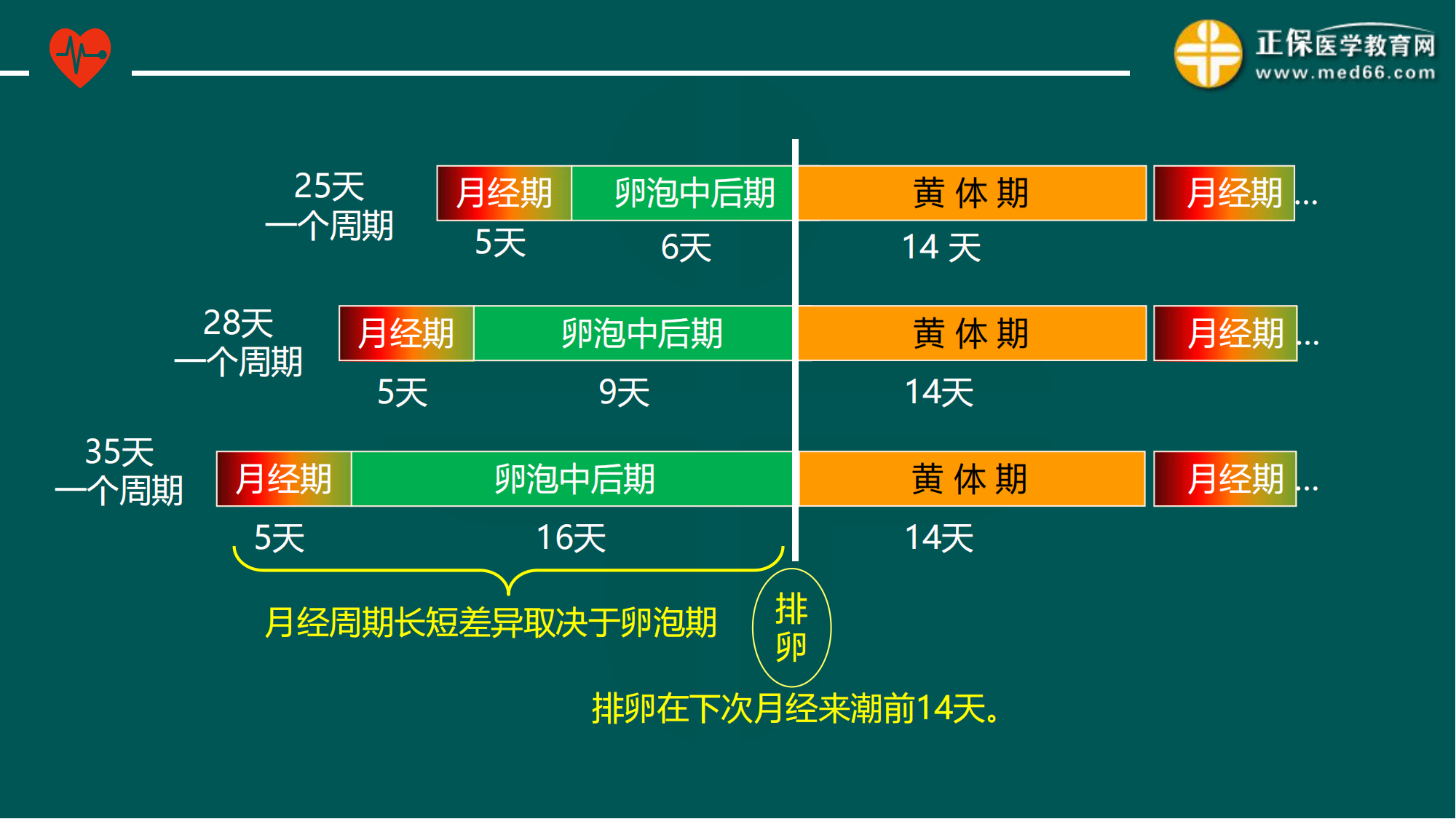 20221205-臨床公開(kāi)課講義-景晴_18 20221205-臨床公開(kāi)課講義-景晴_18