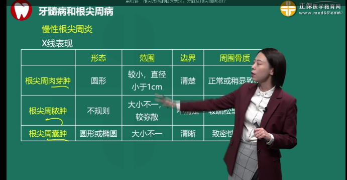 根尖周肉芽腫大小