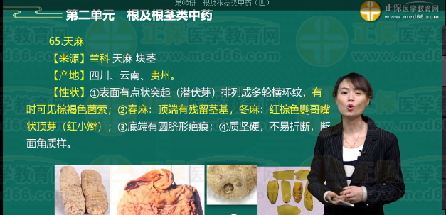 天麻的鑒別要點是