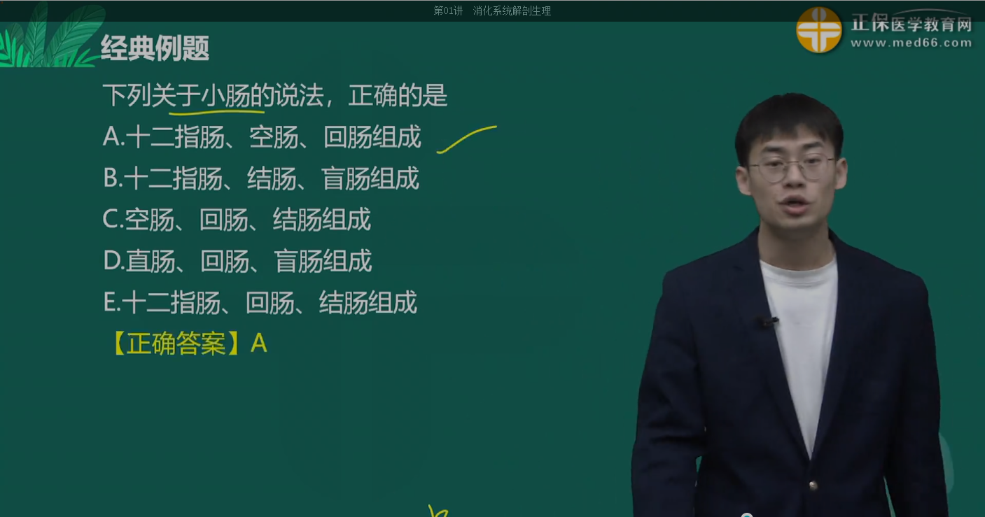 小腸的解剖生理 小腸的解剖生理