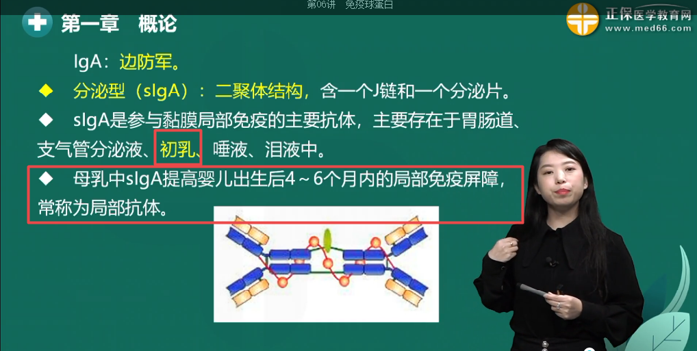 免疫球蛋白分型及臨床意義2 免疫球蛋白分型及臨床意義2