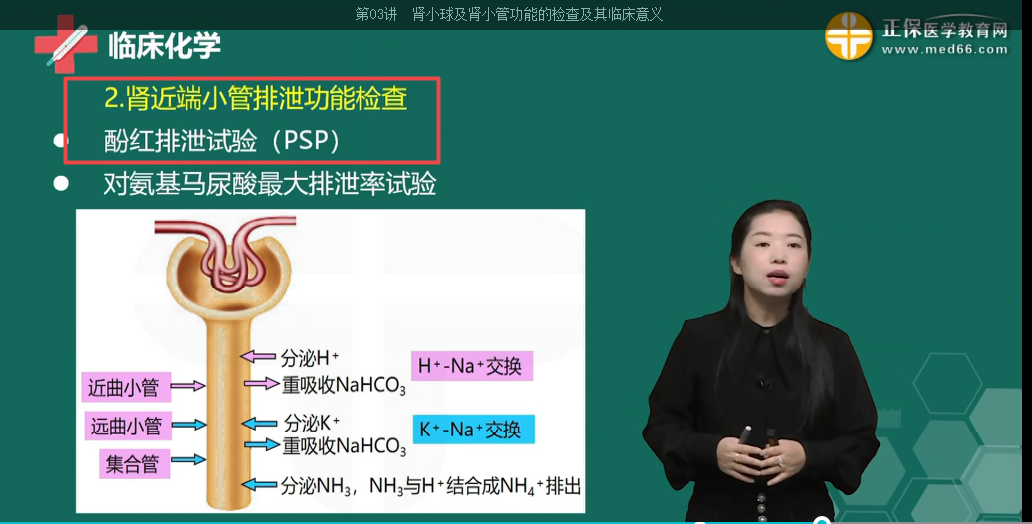 近端小管功能檢查 近端小管功能檢查