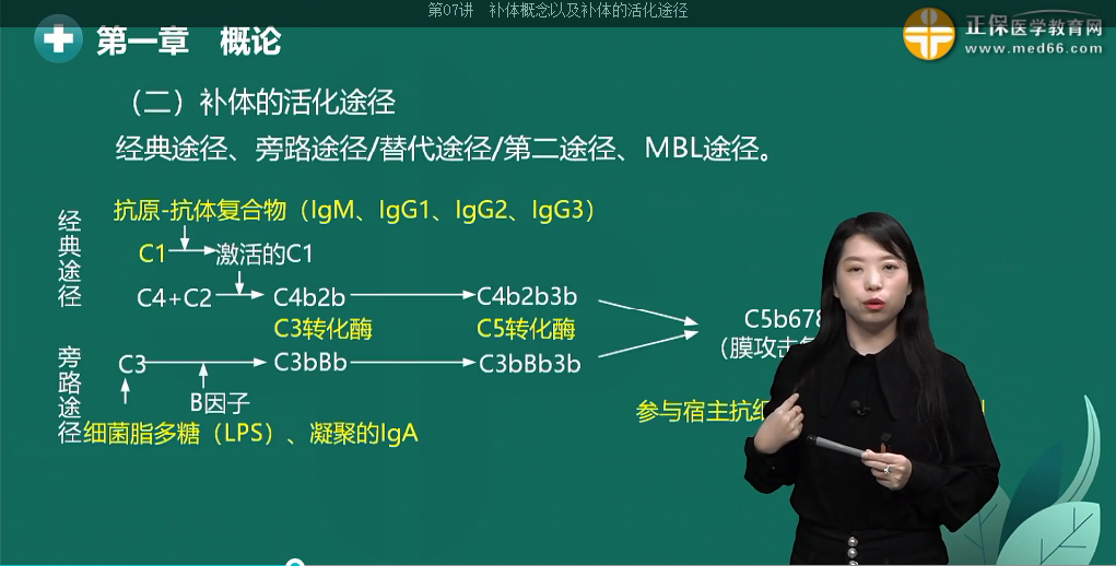 補(bǔ)體的激活途徑 補(bǔ)體的激活途徑