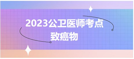 2023公衛(wèi)醫(yī)師考點致癌物 2023公衛(wèi)醫(yī)師考點致癌物