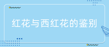 紅花與西紅花的鑒別 紅花與西紅花的鑒別