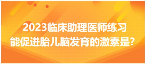 2023臨床助理醫(yī)師練習-促進胎兒腦發(fā)育的激素是？