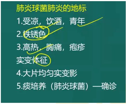 肺炎球菌肺炎地標