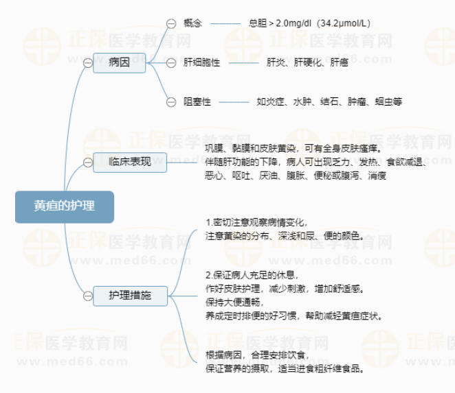 黃疸的護(hù)理 黃疸的護(hù)理