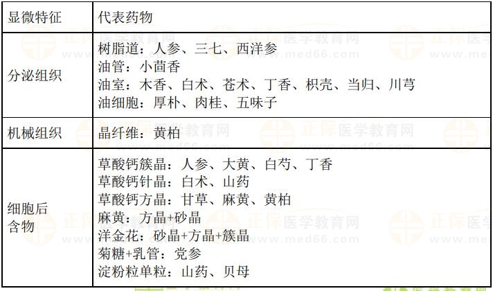 顯微鑒別專(zhuān)題-2023《中藥學(xué)專(zhuān)業(yè)知識(shí)一》記憶口訣 顯微鑒別專(zhuān)題-2023《中藥學(xué)專(zhuān)業(yè)知識(shí)一》記憶口訣