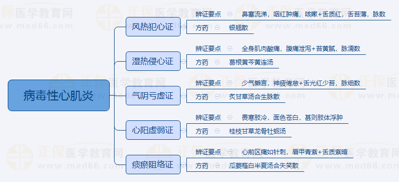 3.病毒性心肌炎 3.病毒性心肌炎