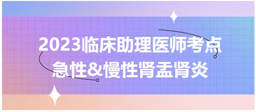 急性&慢性腎盂腎炎