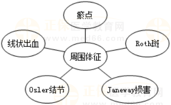 IE的周圍體征 IE的周圍體征